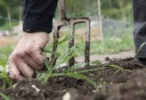20 προσλήψεις εργατών στο Δήμο Σπάρτης