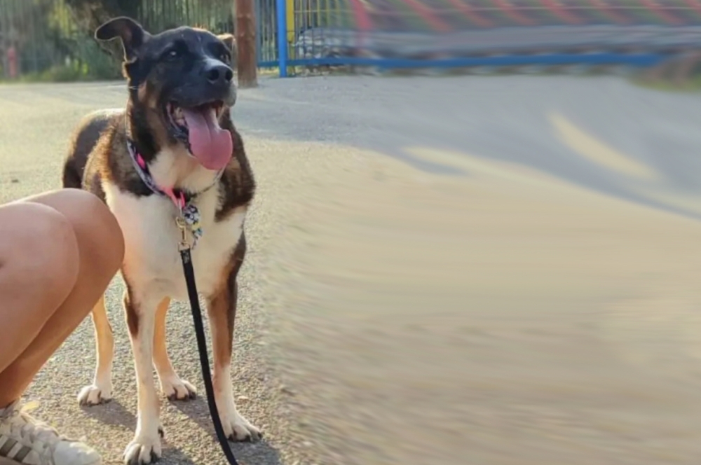 &Chi;&nu;&omicron;&upsilon;&delta;&omega;&tau;έ&sigmaf; &Delta;&iota;&alpha;&delta;&rho;&omicron;&mu;έ&sigmaf;: &Eta; Casablanca &psi;ά&chi;&nu;&epsilon;&iota; &gamma;&iota;&alpha; &tau;&omicron; &pi;&alpha;&nu;&tau;&omicron;&tau;&iota;&nu;ό &sigma;&pi;ί&tau;&iota; &tau;&eta;&sigmaf;!