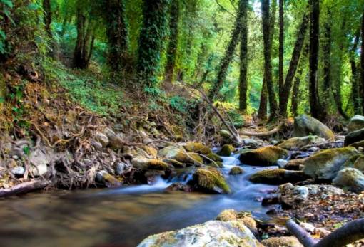 Ένα ξεχωριστό τριήμερο του Αγ. Πνεύματος με την «Activate Now» στο Καστόρι!