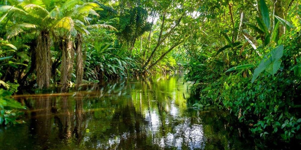 Ί&sigma;&eta; &mu;&epsilon; &laquo;&mu;&iota;&alpha; &Epsilon;&lambda;&beta;&epsilon;&tau;ί&alpha;&raquo; &epsilon;ί&nu;&alpha;&iota; &eta; έ&kappa;&tau;&alpha;&sigma;&eta; &tau;&omega;&nu; &tau;&rho;&omicron;&pi;&iota;&kappa;ώ&nu; &delta;&alpha;&sigma;ώ&nu; &pi;&omicron;&upsilon; &alpha;&pi;&omicron;&psi;&iota;&lambda;ώ&theta;&eta;&kappa;&alpha;&nu; &tau;&omicron; 2022
