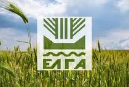 Πορίσματα εντάσεων για ζημιές  σε καλλιέργειες του Δ. Ευρώτα