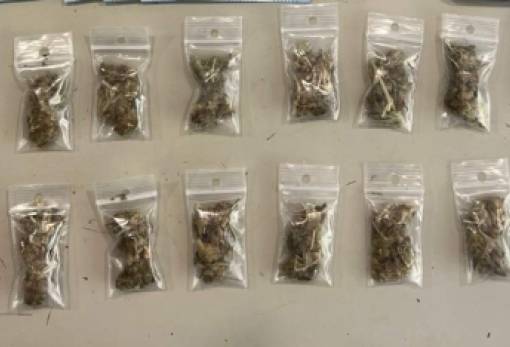 Με ναρκωτικά πιάστηκαν 2 άτομα στη Λακωνία