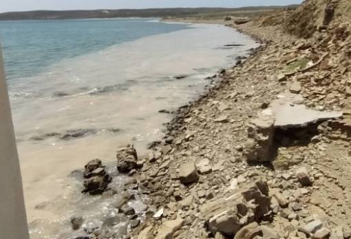 Ανησυχία στη Λήμνο: Γέμισαν φυτοπλαγκτόν οι ακτές