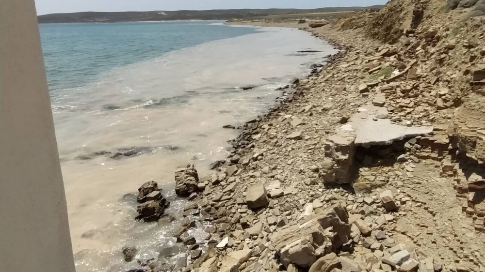 &Alpha;&nu;&eta;&sigma;&upsilon;&chi;ί&alpha; &sigma;&tau;&eta; &Lambda;ή&mu;&nu;&omicron;: &Gamma;έ&mu;&iota;&sigma;&alpha;&nu; &phi;&upsilon;&tau;&omicron;&pi;&lambda;&alpha;&gamma;&kappa;&tau;ό&nu; &omicron;&iota; &alpha;&kappa;&tau;έ&sigmaf;