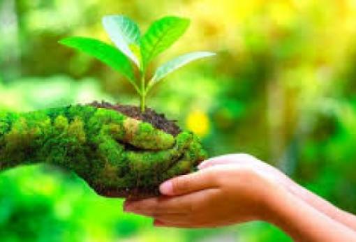 Το 40% των φυτών παγκοσμίως απειλείται με εξαφάνιση