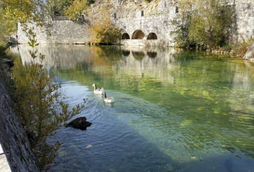 Άγρυπνοι «φρουροί» του Ευρώτα