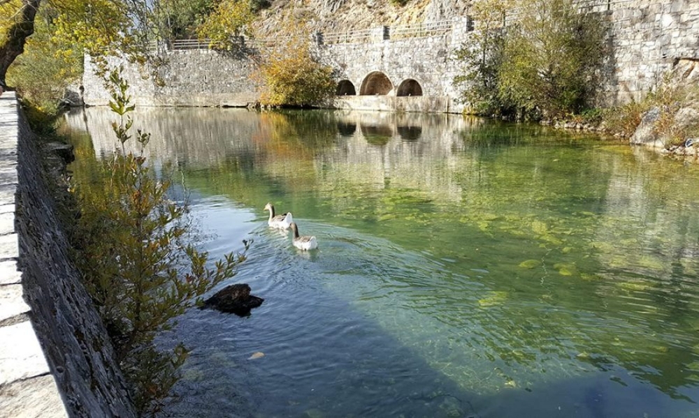Ά&gamma;&rho;&upsilon;&pi;&nu;&omicron;&iota; &laquo;&phi;&rho;&omicron;&upsilon;&rho;&omicron;ί&raquo; &tau;&omicron;&upsilon; &Epsilon;&upsilon;&rho;ώ&tau;&alpha;