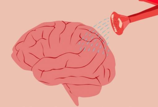 Μέχρι ποια ηλικία είναι «σφουγγάρι» ο εγκέφαλος των παιδιών