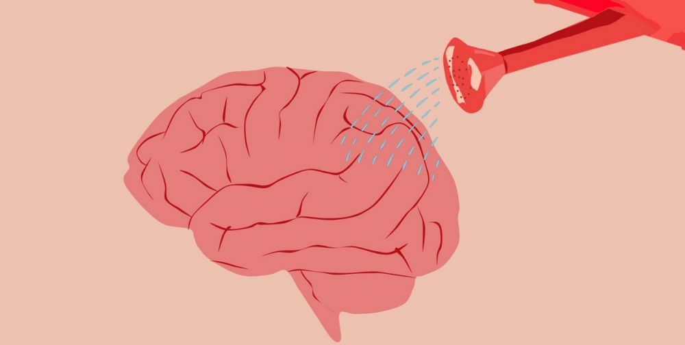 &Mu;έ&chi;&rho;&iota; &pi;&omicron;&iota;&alpha; &eta;&lambda;&iota;&kappa;ί&alpha; &epsilon;ί&nu;&alpha;&iota; &laquo;&sigma;&phi;&omicron;&upsilon;&gamma;&gamma;ά&rho;&iota;&raquo; &omicron; &epsilon;&gamma;&kappa;έ&phi;&alpha;&lambda;&omicron;&sigmaf; &tau;&omega;&nu; &pi;&alpha;&iota;&delta;&iota;ώ&nu;