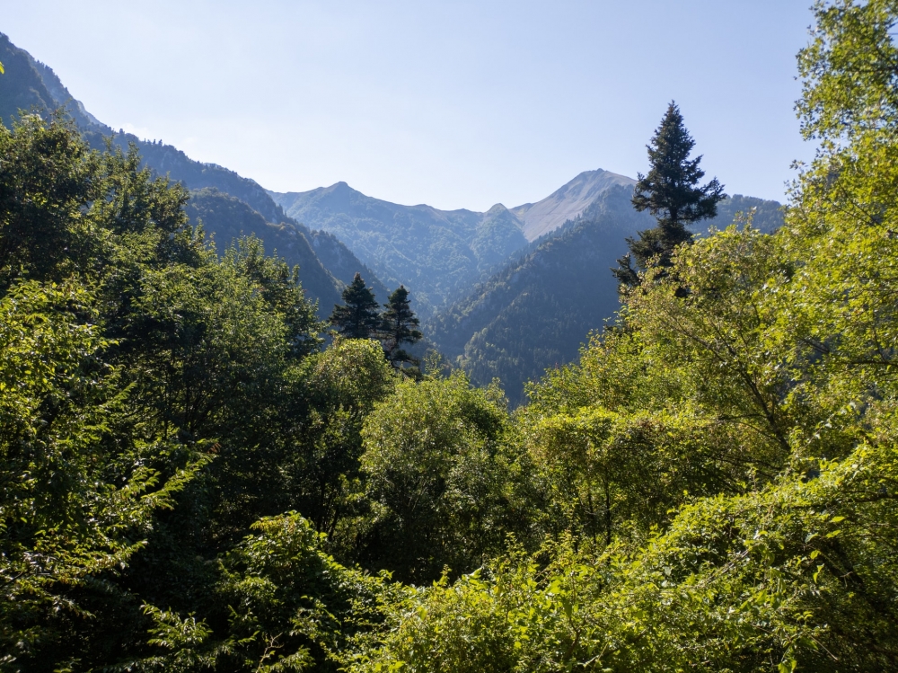 Ά&gamma;&rho;&alpha;&phi;&alpha;: &laquo;&Theta;&alpha; &pi;&alpha;&rho;&alpha;&mu;&epsilon;ί&nu;&omicron;&upsilon;&nu; &gamma;&iota;&alpha; &pi;ά&nu;&tau;&alpha; &Alpha;&pi;ά&tau;&eta;&tau;&alpha; &Beta;&omicron;&upsilon;&nu;ά&raquo;