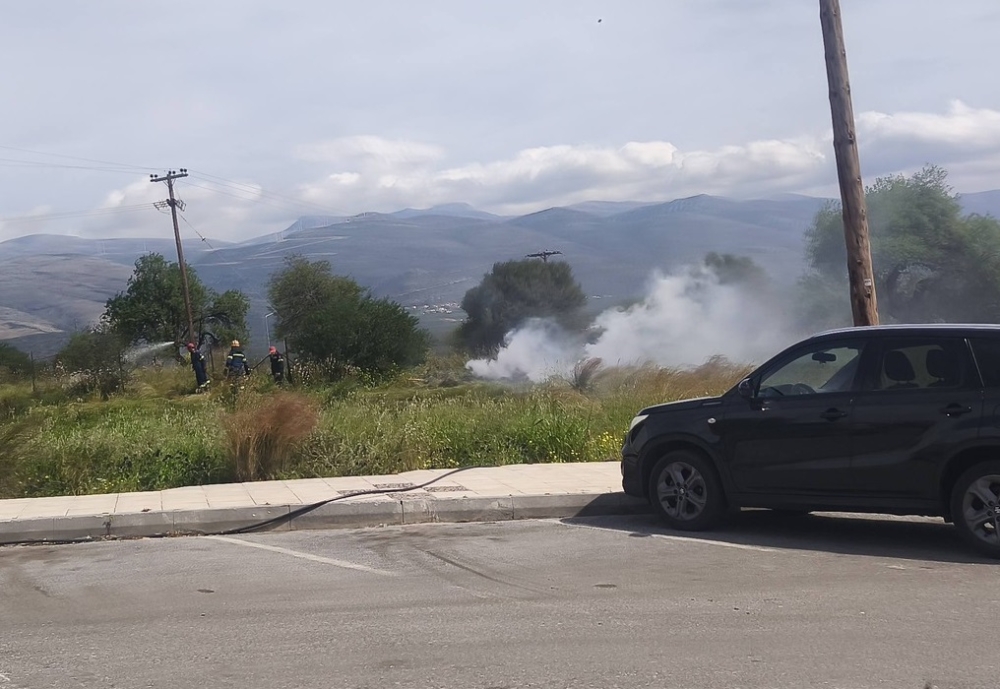 &Mu;&iota;&kappa;&rho;&omicron;-&phi;&omega;&tau;&iota;ά &sigma;&epsilon; έ&kappa;&tau;&alpha;&sigma;&eta; &delta;ί&pi;&lambda;&alpha; &alpha;&pi;ό &tau;&omicron; &Nu;&omicron;&sigma;&omicron;&kappa;&omicron;&mu;&epsilon;ί&omicron; &Mu;&omicron;&lambda;ά&omega;&nu;