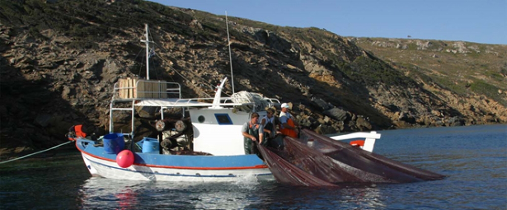 &Kappa;&alpha;&tau;&alpha;&beta;&omicron;&lambda;ή de minimis &sigma;&epsilon; &alpha;&lambda;&iota;&epsilon;ί&sigmaf; &beta;&iota;&nu;&tau;&zeta;ό&tau;&rho;&alpha;&tau;&alpha;&sigmaf;