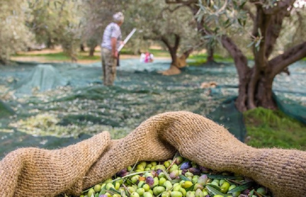 &Epsilon;&kappa;&tau;ό&sigmaf; &tau;&eta;&sigmaf; έ&kappa;&tau;&alpha;&kappa;&tau;&eta;&sigmaf; &sigma;&tau;ή&rho;&iota;&xi;&eta;&sigmaf; &rho;&epsilon;&upsilon;&sigma;&tau;ό&tau;&eta;&tau;&alpha;&sigmaf; &alpha;&rho;&kappa;&epsilon;&tau;&omicron;ί &pi;&alpha;&rho;&alpha;&gamma;&omega;&gamma;&omicron;ί &sigma;&tau;&eta;&nu; &Pi;&epsilon;&lambda;&omicron;&pi;ό&nu;&nu;&eta;&sigma;&omicron;