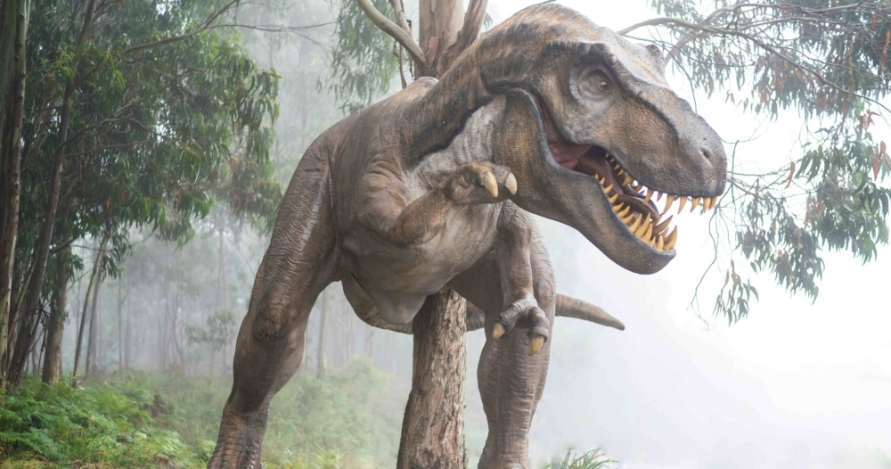 &Chi;&omicron;&rho;&tau;&omicron;&phi;ά&gamma;&omicron;&sigmaf; &delta;&epsilon;&iota;&nu;ό&sigma;&alpha;&upsilon;&rho;&omicron;&sigmaf; &pi;&omicron;&upsilon; έ&zeta;&eta;&sigma;&epsilon; &pi;&rho;&iota;&nu; &alpha;&pi;ό 125 &epsilon;&kappa;&alpha;&tau;&omicron;&mu;&mu;ύ&rho;&iota;&alpha; &chi;&rho;ό&nu;&iota;&alpha; &epsilon;&nu;&tau;&omicron;&pi;ί&sigma;&tau;&eta;&kappa;&epsilon; &sigma;&tau;&eta;&nu; &Beta;&rho;&epsilon;&tau;&alpha;&nu;ί&alpha;