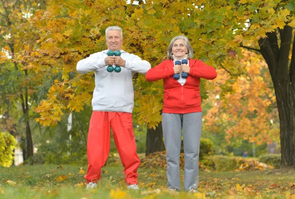 Ά&nu;&omicron;&iota;&alpha;: &Pi;ό&sigma;&alpha; &lambda;&epsilon;&pi;&tau;ά ά&sigma;&kappa;&eta;&sigma;&eta;&sigmaf; &sigma;ώ&zeta;&omicron;&upsilon;&nu; &mu;&upsilon;&alpha;&lambda;ό &kappa;&alpha;&iota; &mu;&nu;ή&mu;&eta;;