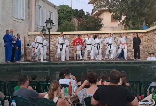 Πολεμικές τέχνες παρουσιάστηκαν στο Φοινίκι (ΦΩΤΟ-VIDEO)