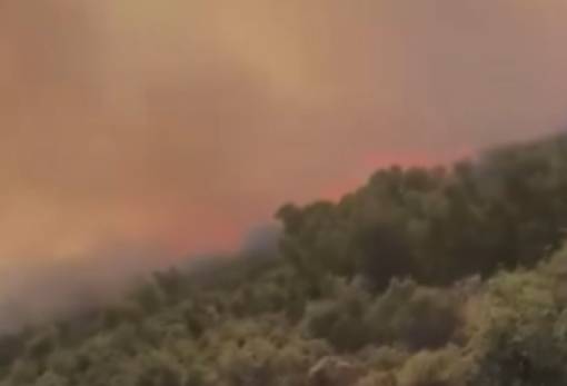 Κατασβέστηκε φωτιά που εκδηλώθηκε στην Καρίτσα