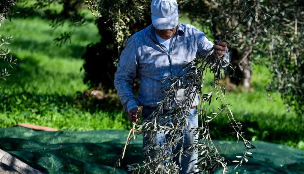 &Mu;&eta;&tau;&rho;ώ&omicron; &Alpha;&gamma;&rho;&omicron;&tau;ώ&nu;: &Pi;&omicron;&iota;&epsilon;&sigmaf; &chi;&rho;&omicron;&nu;&iota;έ&sigmaf; &mu;&epsilon;&tau;&rho;&omicron;ύ&nu; &gamma;&iota;&alpha; &tau;&eta; &beta;&epsilon;&beta;&alpha;ί&omega;&sigma;&eta; &epsilon;&gamma;&gamma;&rho;&alpha;&phi;ή&sigmaf;