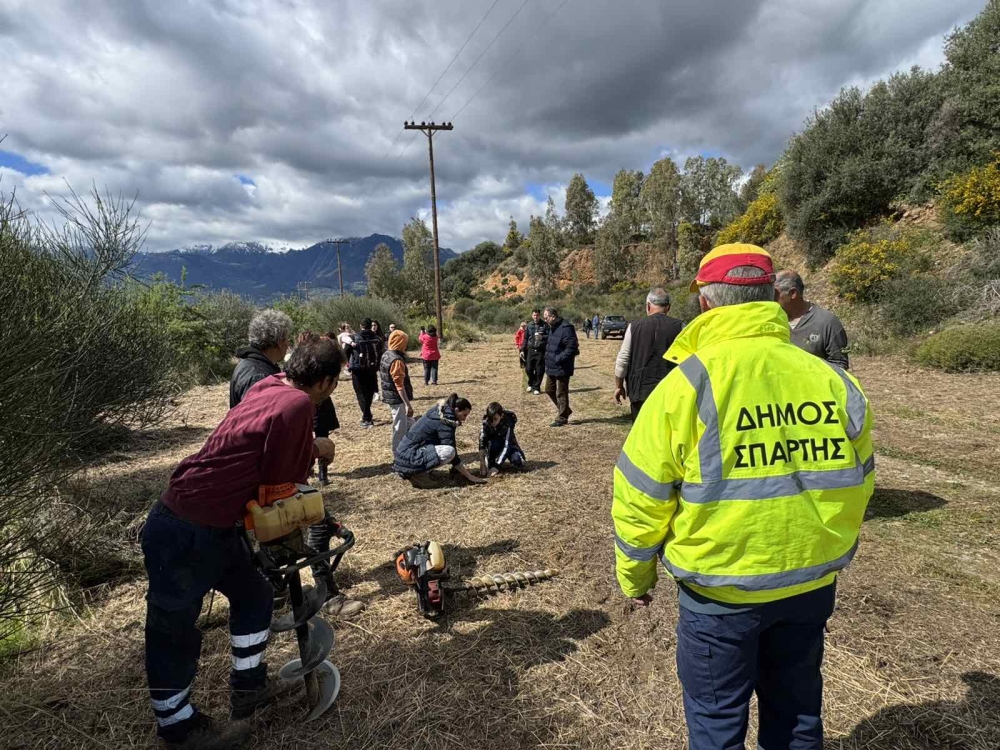 &Epsilon;&pi;&iota;&tau;&upsilon;&chi;ή&sigmaf; &eta; &delta;&epsilon;&nu;&delta;&rho;&omicron;&phi;ύ&tau;&epsilon;&upsilon;&sigma;&eta; &sigma;&tau;&omicron;&nu; &Kappa;&lambda;&alpha;&delta;ά &Sigma;&pi;ά&rho;&tau;&eta;&sigmaf; &alpha;&pi;ό &Delta;ή&mu;&omicron; &kappa;&alpha;&iota; &laquo;Ό&lambda;&omicron;&iota; &Mu;&alpha;&zeta;ί &Mu;&pi;&omicron;&rho;&omicron;ύ&mu;&epsilon;&raquo;