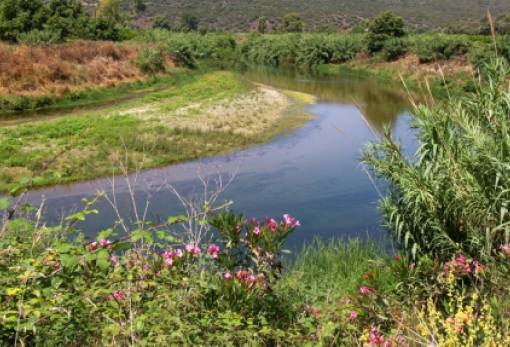Για το περιβάλλον και τη ζωή…