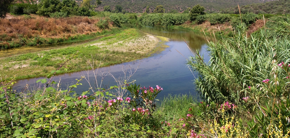 &Gamma;&iota;&alpha; &tau;&omicron; &pi;&epsilon;&rho;&iota;&beta;ά&lambda;&lambda;&omicron;&nu; &kappa;&alpha;&iota; &tau;&eta; &zeta;&omega;ή&hellip;