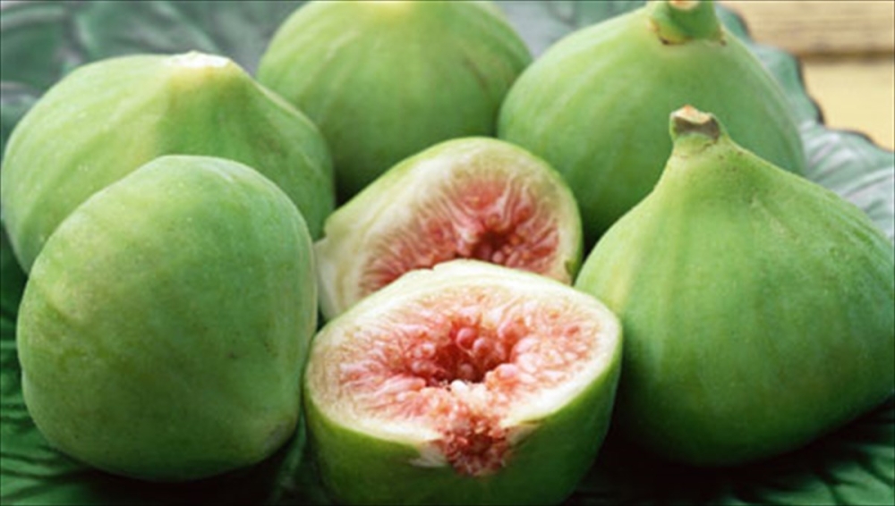 &Epsilon;&pi;&alpha;&nu;ή&lambda;&theta;&epsilon; &sigma;&tau;&omicron; &Upsilon;&pi;&Alpha;&Alpha;&Tau; &omicron; &Tau;&rho;&iota;&chi;&epsilon;ί&lambda;&eta;&sigmaf; &gamma;&iota;&alpha; &tau;&iota;&sigmaf; &alpha;&pi;&omicron;&zeta;&eta;&mu;&iota;ώ&sigma;&epsilon;&iota;&sigmaf; &sigma;&tau;&alpha; &sigma;ύ&kappa;&alpha;