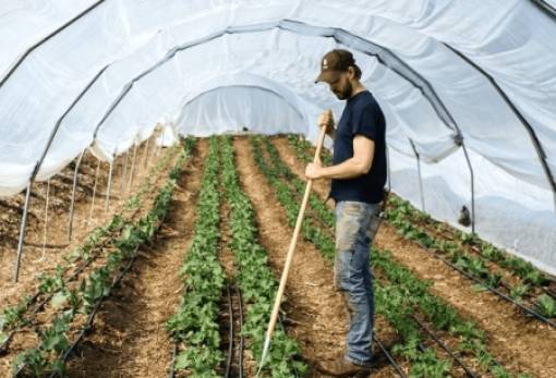 Πρόσφορο το έδαφος στη Λακωνία για επενδύσεις στη θερμοκηπιακή γεωργία