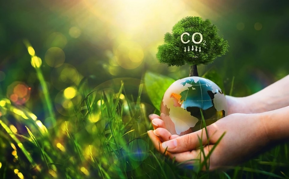 &Pi;ό&lambda;&epsilon;&iota;&sigmaf; &pi;&omicron;&upsilon; &alpha;&nu;&alpha;&pi;&nu;έ&omicron;&upsilon;&nu; &xi;&alpha;&nu;ά: &Pi;ώ&sigmaf; &eta; &pi;&rho;ά&sigma;&iota;&nu;&eta; &epsilon;&nu;έ&rho;&gamma;&epsilon;&iota;&alpha; &kappa;&alpha;&iota; &tau;&omicron; net-zero &alpha;&lambda;&lambda;ά&zeta;&omicron;&upsilon;&nu; &tau;&omicron; &mu;έ&lambda;&lambda;&omicron;&nu; &gamma;ύ&rho;&omega; &mu;&alpha;&sigmaf;