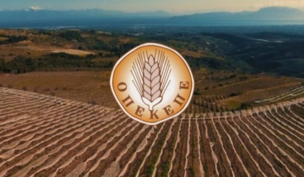 Έ&omega;&sigmaf; 13 &Phi;&epsilon;&beta;&rho;&omicron;&upsilon;&alpha;&rho;ί&omicron;&upsilon; &eta; &upsilon;&pi;&omicron;&beta;&omicron;&lambda;ή &alpha;&iota;&tau;&eta;&mu;ά&tau;&omega;&nu; &gamma;&iota;&alpha; &tau;&eta;&nu; &laquo;ά&rho;&sigma;&eta; &epsilon;&pi;&iota;&kappa;ά&lambda;&upsilon;&psi;&eta;&sigmaf;&raquo;