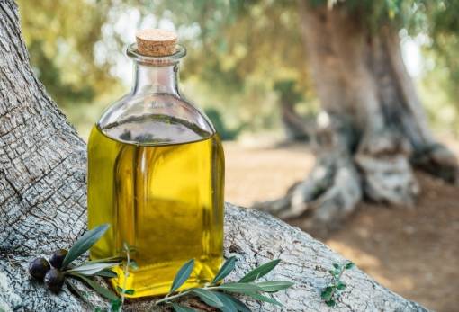 Ν. Κρητικός: «Η Σπάρτη πληροί τις προϋποθέσεις για ίδρυση Ακαδημίας Ελαιολάδου»