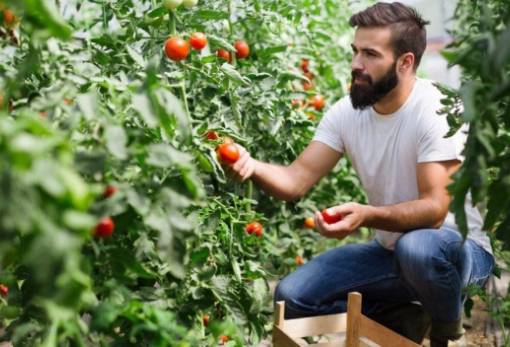Νέοι αγρότες: Γιατί εγκαταλείπουν τη γη