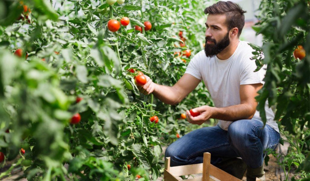 &Nu;έ&omicron;&iota; &alpha;&gamma;&rho;ό&tau;&epsilon;&sigmaf;: &Gamma;&iota;&alpha;&tau;ί &epsilon;&gamma;&kappa;&alpha;&tau;&alpha;&lambda;&epsilon;ί&pi;&omicron;&upsilon;&nu; &tau;&eta; &gamma;&eta;