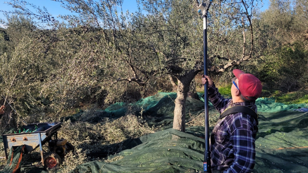 &Mu;ό&chi;&theta;&omicron;&sigmaf; &sigma;&tau;&omicron; &chi;&omega;&rho;ά&phi;&iota; &gamma;&iota;&alpha; &tau;&omicron;&nu; &laquo;&chi;&rho;&upsilon;&sigma;ό&raquo; &tau;&eta;&sigmaf; &Lambda;&alpha;&kappa;&omega;&nu;ί&alpha;&sigmaf; (VIDEO)