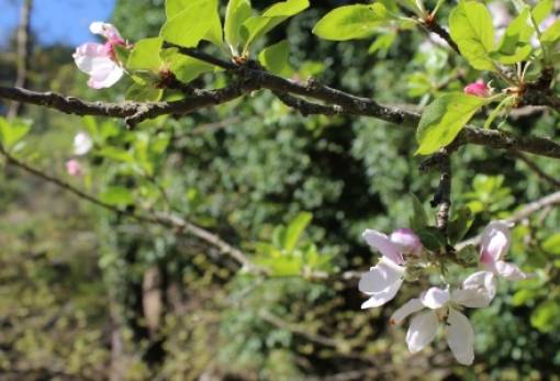 Τι συμβαίνει στη Γη την άνοιξη και το Πάσχα;