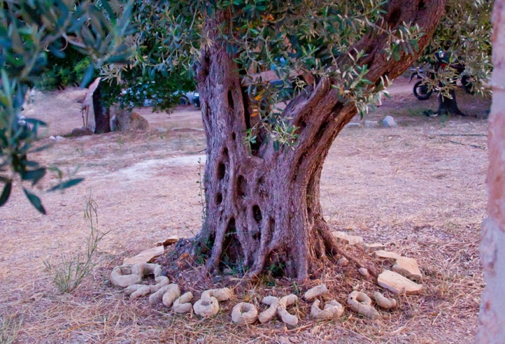 &Epsilon;&lambda;&pi;&iota;&delta;&omicron;&chi;ώ&rho;&iota;: Έ&nu;&alpha; &pi;&rho;&alpha;&kappa;&tau;&iota;&kappa;ό &pi;&alpha;&rho;ά&delta;&epsilon;&iota;&gamma;&mu;&alpha; &alpha;&upsilon;&tau;ά&rho;&kappa;&epsilon;&iota;&alpha;&sigmaf; &sigma;&tau;&eta;&nu; &kappa;&alpha;&rho;&delta;&iota;ά &tau;&eta;&sigmaf; &Alpha;&rho;&gamma;&omicron;&lambda;ί&delta;&alpha;&sigmaf;