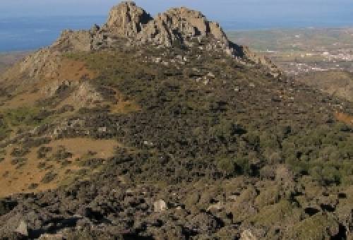 Η γερόντισσα Τριανταφυλλιά και η Παναγιά Ανέμη [Αγία Ανέμη ή Γιαγιά Ανέμη]  (Σαμοθράκη)