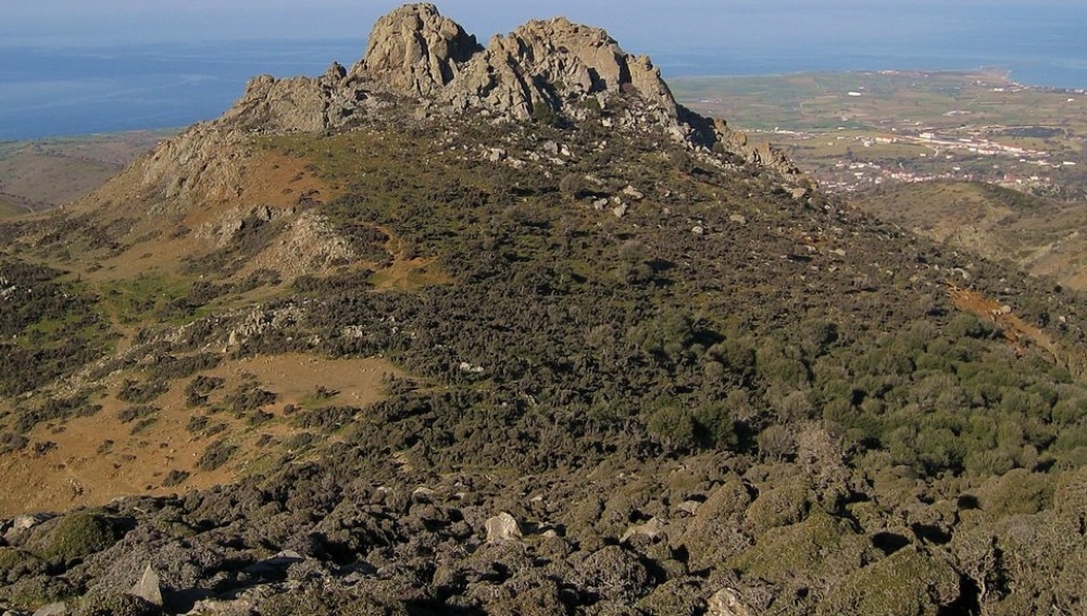 &Eta; &gamma;&epsilon;&rho;ό&nu;&tau;&iota;&sigma;&sigma;&alpha; &Tau;&rho;&iota;&alpha;&nu;&tau;&alpha;&phi;&upsilon;&lambda;&lambda;&iota;ά &kappa;&alpha;&iota; &eta; &Pi;&alpha;&nu;&alpha;&gamma;&iota;ά &Alpha;&nu;έ&mu;&eta; [&Alpha;&gamma;ί&alpha; &Alpha;&nu;έ&mu;&eta; ή &Gamma;&iota;&alpha;&gamma;&iota;ά &Alpha;&nu;έ&mu;&eta;]  (&Sigma;&alpha;&mu;&omicron;&theta;&rho;ά&kappa;&eta;)