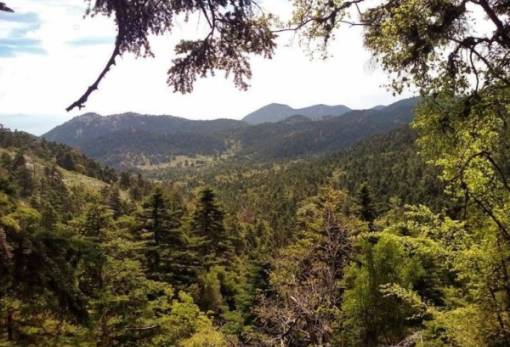 Κοινή εξόρμηση στον Πάρνωνα  από ΕΟΣ Μολάων-Σπάρτης-Τρίπολης