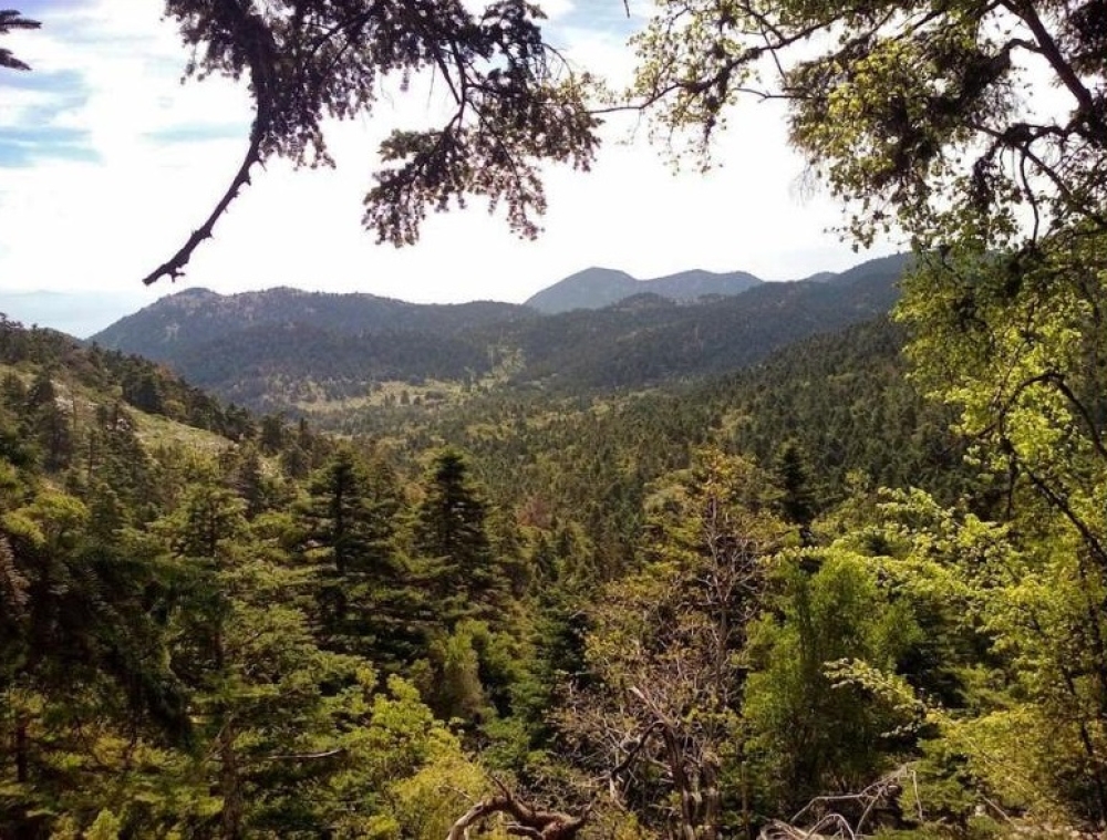 &Kappa;&omicron;&iota;&nu;ή &epsilon;&xi;ό&rho;&mu;&eta;&sigma;&eta; &sigma;&tau;&omicron;&nu; &Pi;ά&rho;&nu;&omega;&nu;&alpha;  &alpha;&pi;ό &Epsilon;&Omicron;&Sigma; &Mu;&omicron;&lambda;ά&omega;&nu;-&Sigma;&pi;ά&rho;&tau;&eta;&sigmaf;-&Tau;&rho;ί&pi;&omicron;&lambda;&eta;&sigmaf;