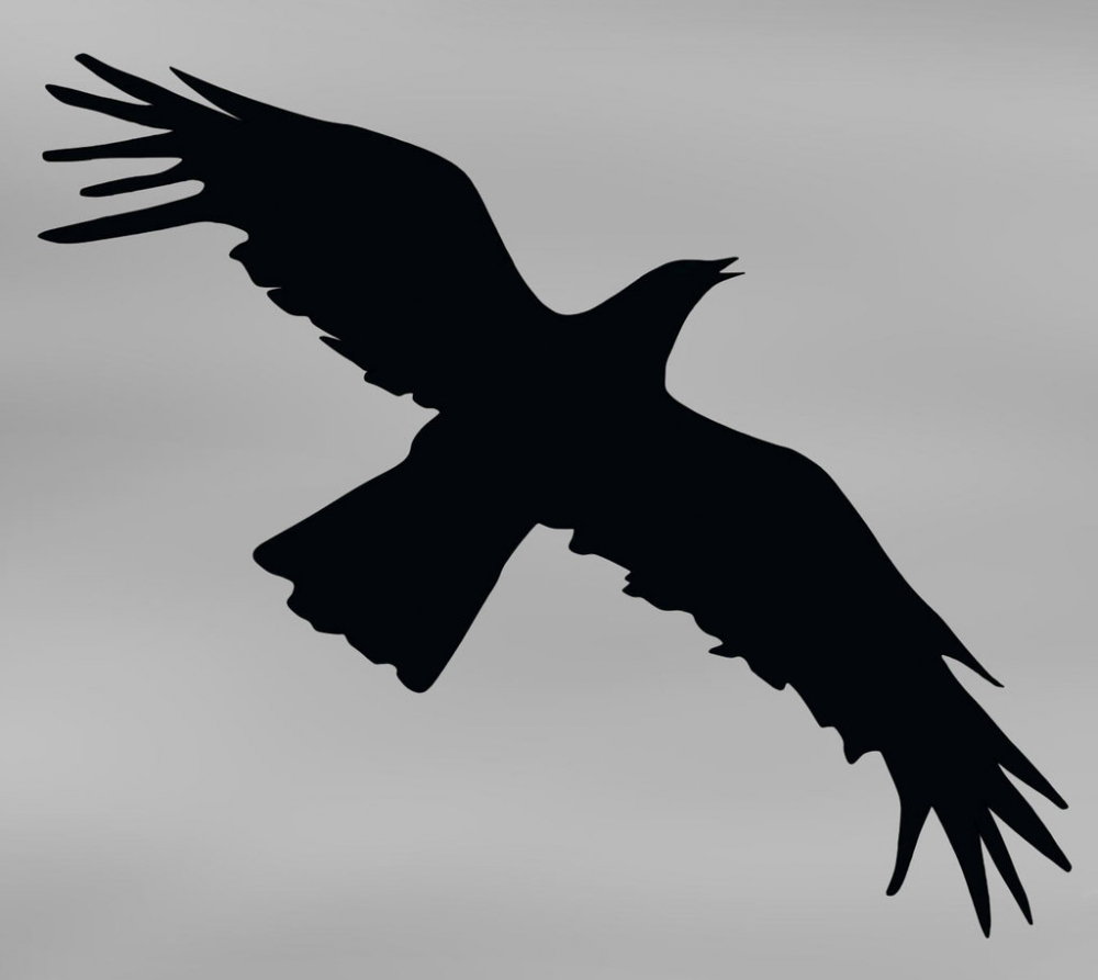 &Tau;&omicron; &nu;&upsilon;&chi;&tau;&omicron;&pi;&omicron;ύ&lambda;&iota;