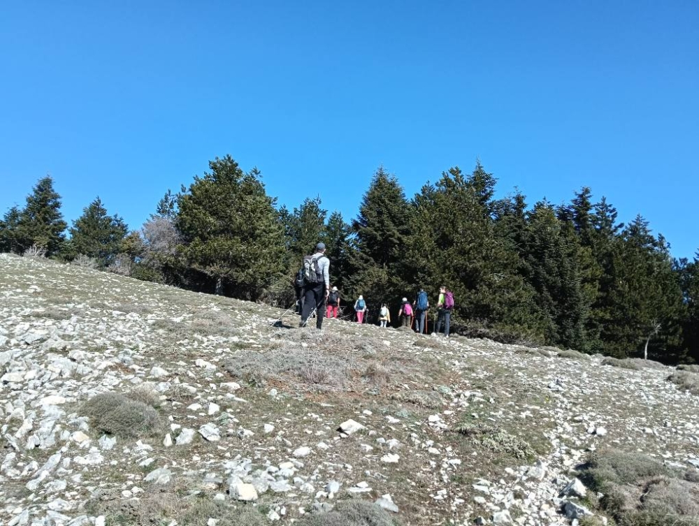 &Nu;έ&omicron; &Delta;&iota;&omicron;&iota;&kappa;&eta;&tau;&iota;&kappa;ό &Sigma;&upsilon;&mu;&beta;&omicron;ύ&lambda;&iota;&omicron; &sigma;&tau;&omicron;&nu; &Epsilon;&lambda;&lambda;&eta;&nu;&iota;&kappa;ό &Omicron;&rho;&epsilon;&iota;&beta;&alpha;&tau;&iota;&kappa;ό &Sigma;ύ&lambda;&lambda;&omicron;&gamma;&omicron; &Sigma;&pi;ά&rho;&tau;&eta;&sigmaf;