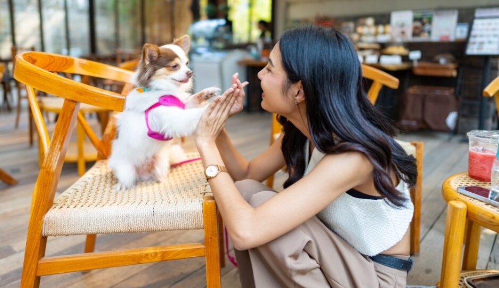 &Mu;&epsilon; &tau;&omicron;&nu; &sigma;&kappa;ύ&lambda;&omicron; &gamma;&iota;&alpha; &kappa;&alpha;&phi;έ &kappa;&alpha;&iota; &beta;ό&lambda;&tau;&alpha;