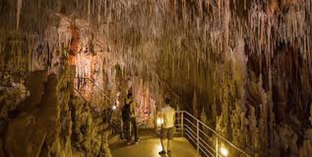 &Delta;ύ&omicron; &pi;&rho;&omicron;&sigma;&lambda;ή&psi;&epsilon;&iota;&sigmaf; &sigma;&upsilon;&nu;&omicron;&delta;ώ&nu; &epsilon;&pi;&iota;&sigma;&kappa;&epsilon;&pi;&tau;ώ&nu; &sigma;&epsilon; &alpha;&xi;&iota;&omicron;&theta;έ&alpha;&tau;&alpha; &tau;&omicron;&upsilon; &Delta;. &Mu;&omicron;&nu;&epsilon;&mu;&beta;&alpha;&sigma;ί&alpha;&sigmaf;