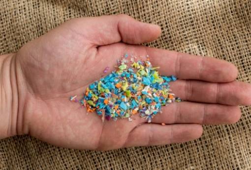 Το πραγματικό πρόβλημα με τα μικροπλαστικά δεν είναι στο μυαλό σου