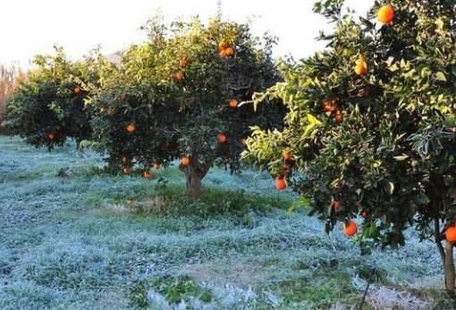 Πορίσματα για τις ενστάσεις ζημιών στον Δ. Ευρώτα