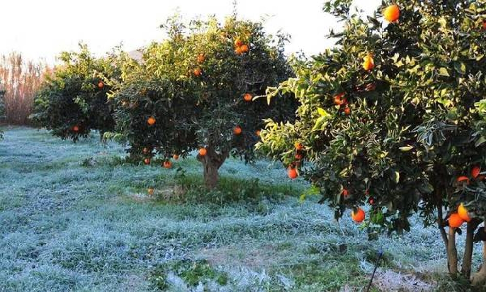 &Pi;&omicron;&rho;ί&sigma;&mu;&alpha;&tau;&alpha; &gamma;&iota;&alpha; &tau;&iota;&sigmaf; &epsilon;&nu;&sigma;&tau;ά&sigma;&epsilon;&iota;&sigmaf; &zeta;&eta;&mu;&iota;ώ&nu; &sigma;&tau;&omicron;&nu; &Delta;. &Epsilon;&upsilon;&rho;ώ&tau;&alpha;