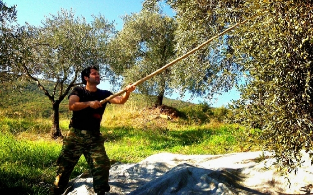 &Pi;ά&nu;&omega; &alpha;&pi;ό 450 &nu;έ&omicron;&iota; &alpha;&gamma;&rho;ό&tau;&epsilon;&sigmaf; &mu;&pi;&alpha;ί&nu;&omicron;&upsilon;&nu; &sigma;&tau;&eta;&nu; &pi;&alpha;&rho;&alpha;&gamma;&omega;&gamma;ή &sigma;&tau;&eta;&nu; &Pi;&epsilon;&lambda;&omicron;&pi;ό&nu;&nu;&eta;&sigma;&omicron;