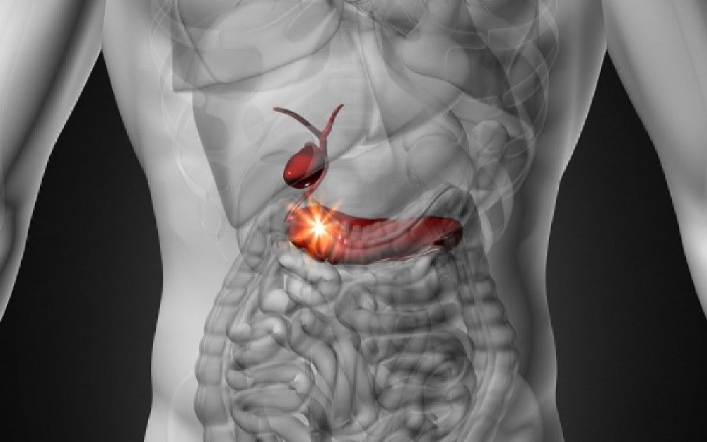 Aύ&xi;&eta;&sigma;&eta; &kappa;&alpha;&rho;&kappa;ί&nu;&omega;&nu; &tau;&omicron;&upsilon; &pi;&alpha;&chi;έ&omicron;&sigmaf; &epsilon;&nu;&tau;έ&rho;&omicron;&upsilon; &sigma;&epsilon; &pi;&alpha;&iota;&delta;&iota;ά, έ&phi;&eta;&beta;&omicron;&upsilon;&sigmaf; &kappa;&alpha;&iota; &nu;έ&omicron;&upsilon;&sigmaf;