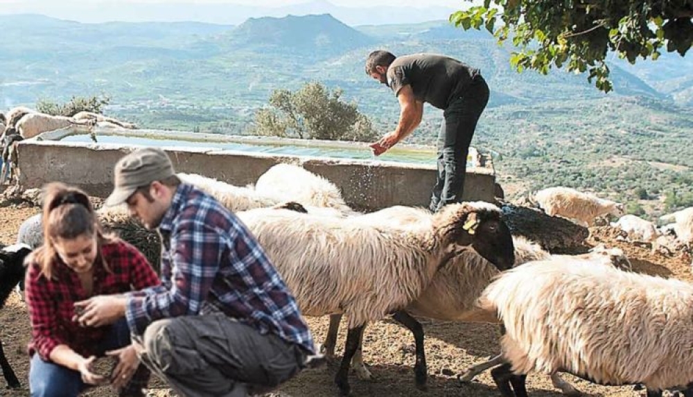 &Pi;&rho;&omicron;&sigmaf; &delta;&eta;&mu;&iota;&omicron;&upsilon;&rho;&gamma;ί&alpha; &Alpha;&kappa;&alpha;&delta;&eta;&mu;ί&alpha;&sigmaf; &Epsilon;&pi;&alpha;&gamma;&gamma;&epsilon;&lambda;&mu;&alpha;&tau;&iota;&kappa;ή&sigmaf; &Kappa;&alpha;&tau;ά&rho;&tau;&iota;&sigma;&eta;&sigmaf; &sigma;&tau;&eta; &Mu;ά&nu;&eta;