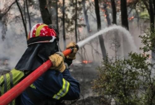 Στα όριά τους οι πυροσβέστες στη Λακωνία